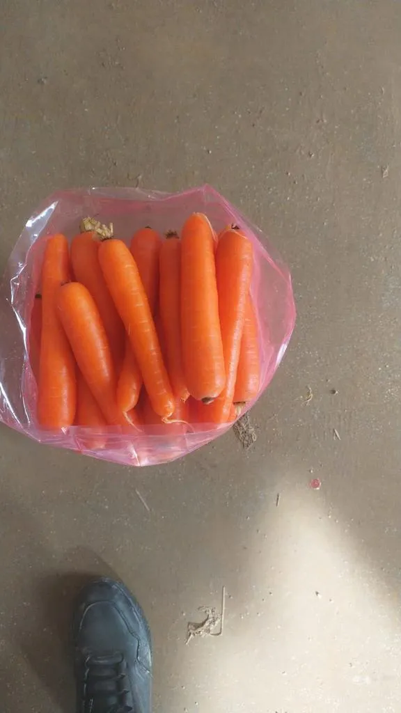 морковь мытая в Турции 2