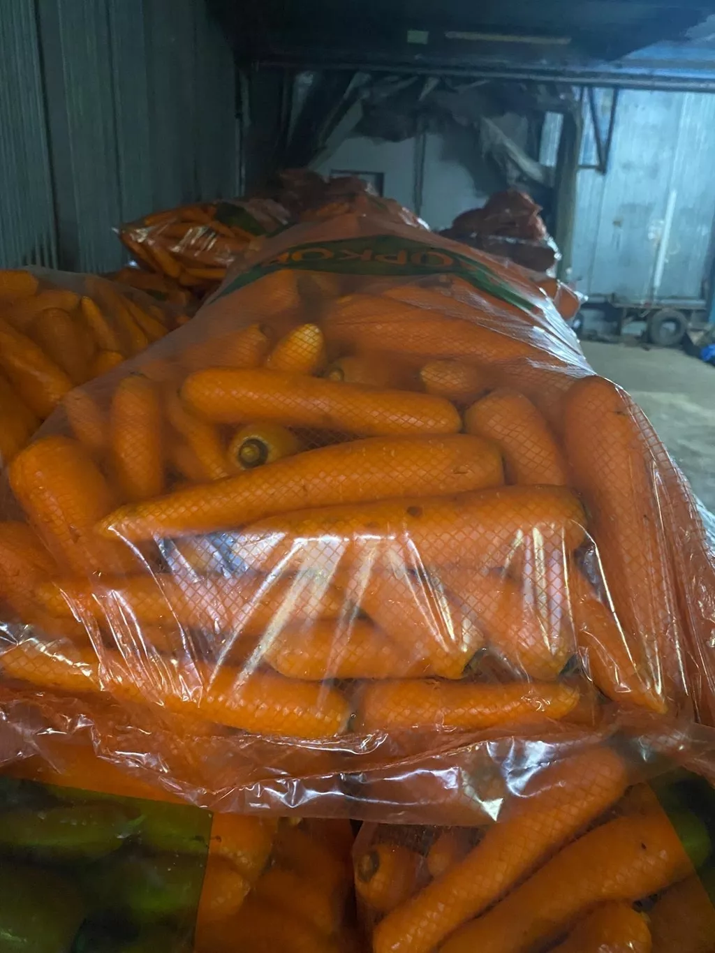 морковь мытая оптом от производителя в Республике Беларусь