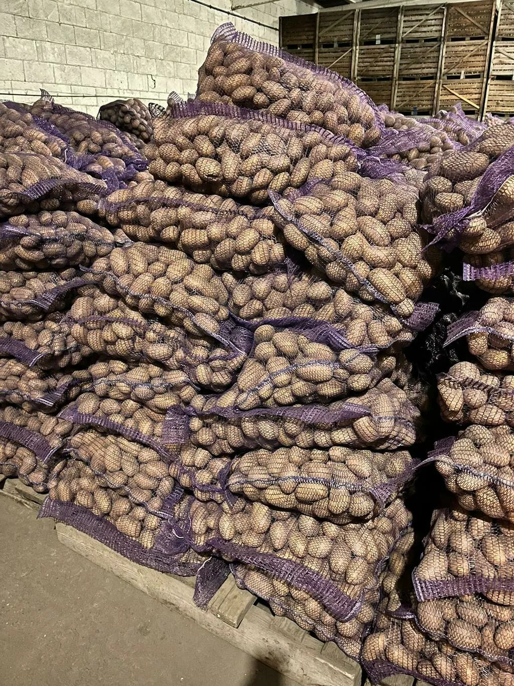 картофель сортовой в Республике Беларусь