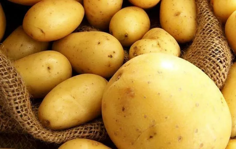 картофель без посредника  в Республике Беларусь