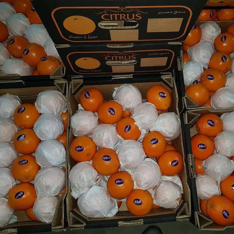 апельсины из Египта в Египте 2
