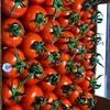 оптовая продажа овощей и фруктов  в Турции 10