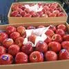яблоки Red Shif Premium Class  в Турции 2