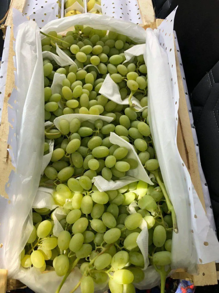 поставка ассорти винограды без ГМО в Узбекистане