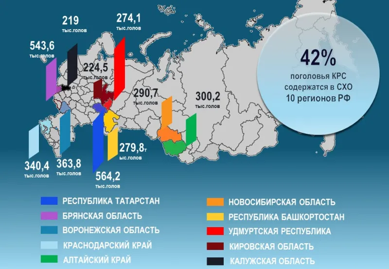 Татарстан остается лидером по числу коров