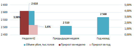 США: Обзор рынка свиней за 42 неделю от 23 окт 2023 года