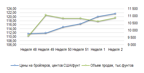 США: Обзор рынка бройлеров за 2 неделю от 12 января 2026 года