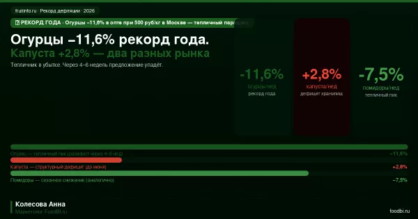 Иллюстрация новости