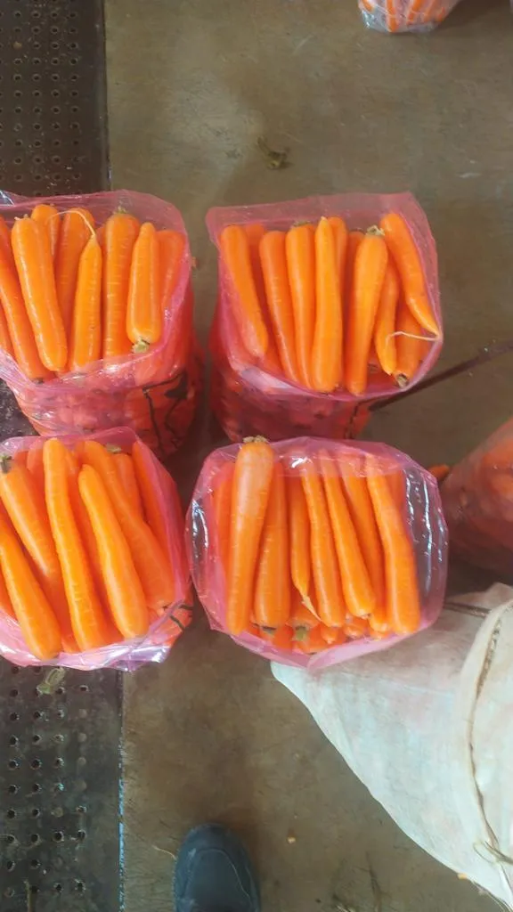 морковь мытая в Турции