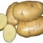 картофель в Республике Беларусь
