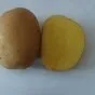 картофель в Республике Беларусь 3