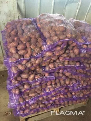 картофель свыше 20т в Республике Беларусь 3