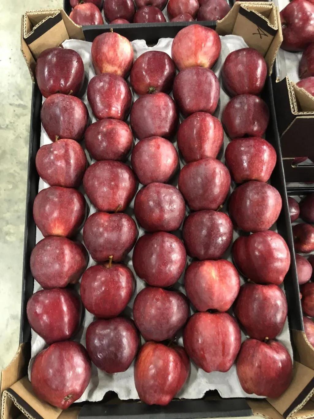 продаю яблоки в больших количествах в Молдавии