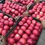 яблоки экспорт в Польше 10