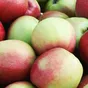 яблоко оптом лигол (1/2 сорт) в Республике Беларусь