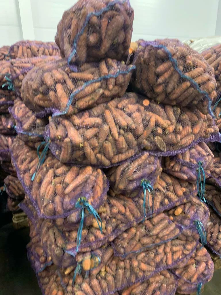 Фотография продукта Продаем морковь опт из беларуссии