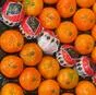 мандарин маро в Марокко 4