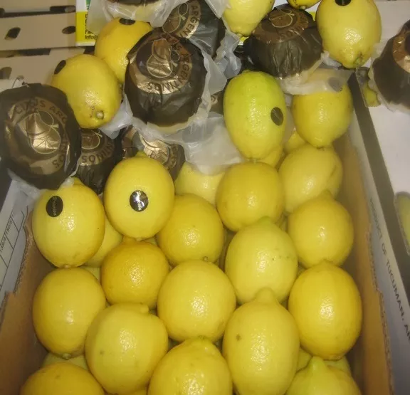 предлагаю лимон из аргентины в Аргентине 2
