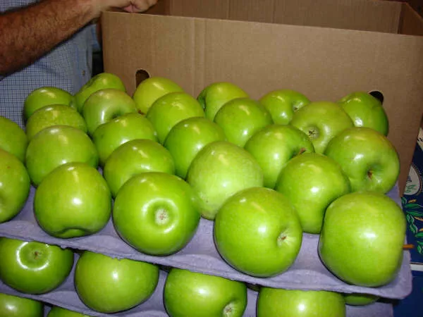 предлагаю яблоки из аргентины в Аргентине 2