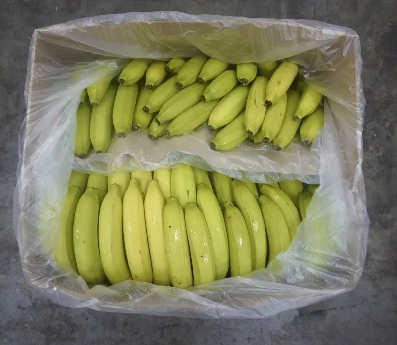 бананы из европы (поставка 6-8 дней) в Москве 2