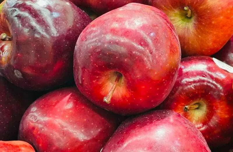 фотография продукта Купим фрукты оптом 