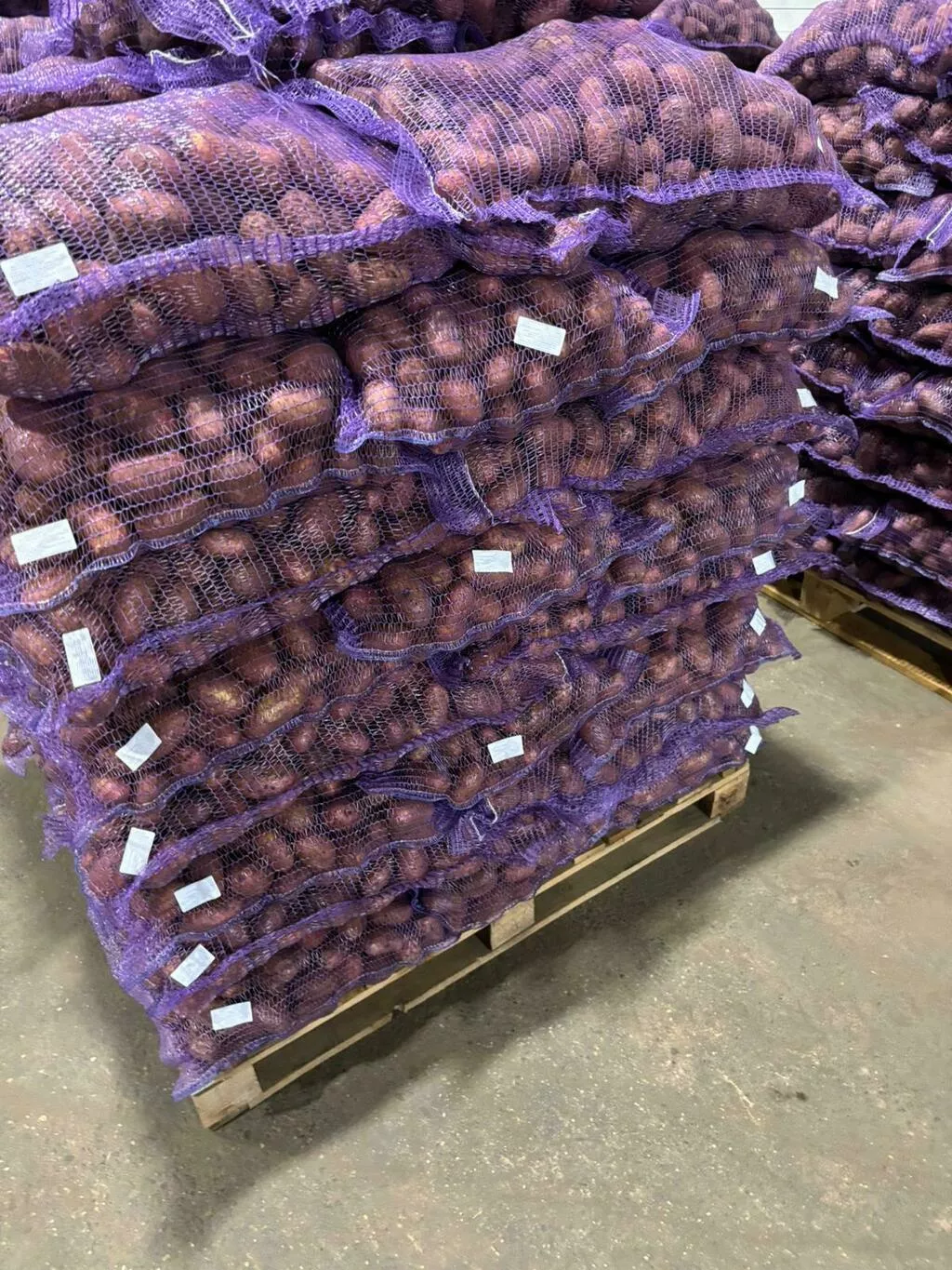 картофель свежий продовольственный к.ан в Москве 3