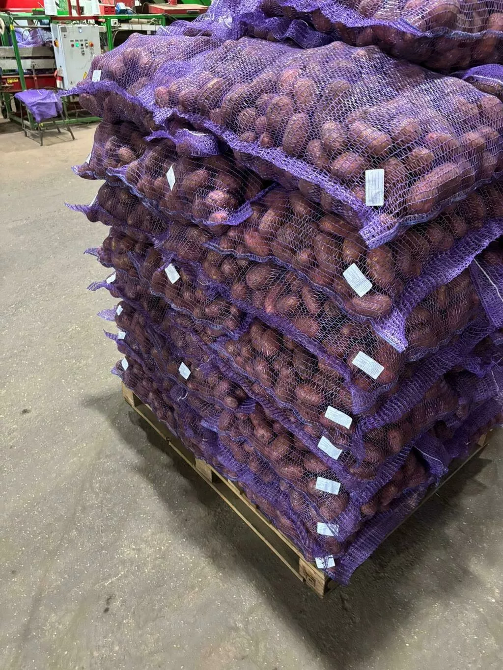 картофель свежий продовольственный к.ан в Москве 2