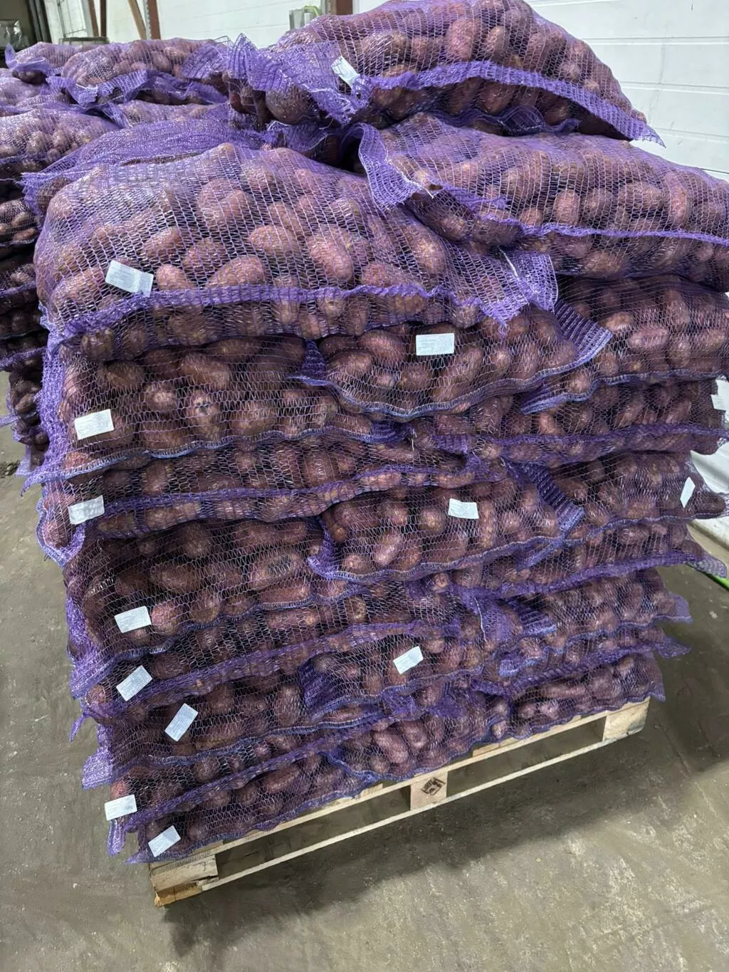 картофель свежий продовольственный к.ан в Москве 5