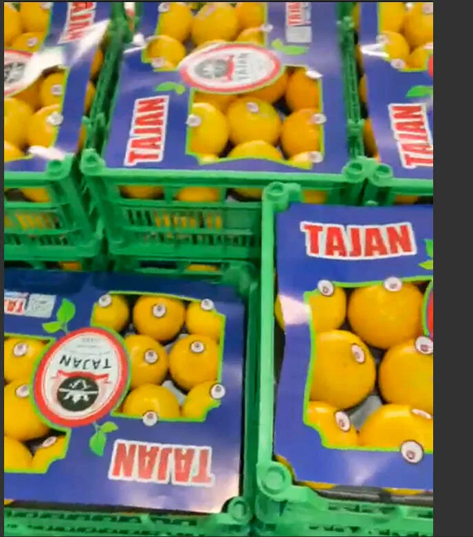 фотография продукта Мандарин. оптом. урожай 2025