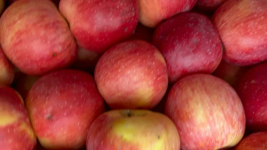 яблоки свежие.  в Москве 5