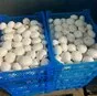 шампиньоны свежие оптом в Барнауле и Алтайском крае 2