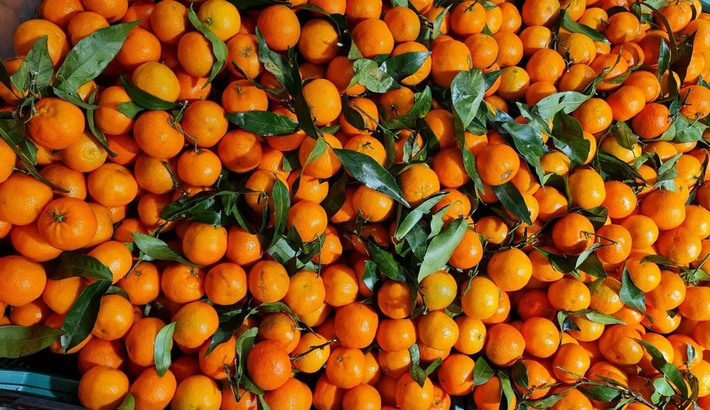 фотография продукта Мандарины оптом из грузии и абхазии