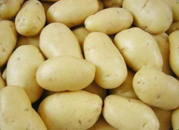 Фотография продукта Прямые поставки картофеля сорт леди клэр