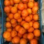 мандарины турция оптом от 10 тонн в Новороссийске 3