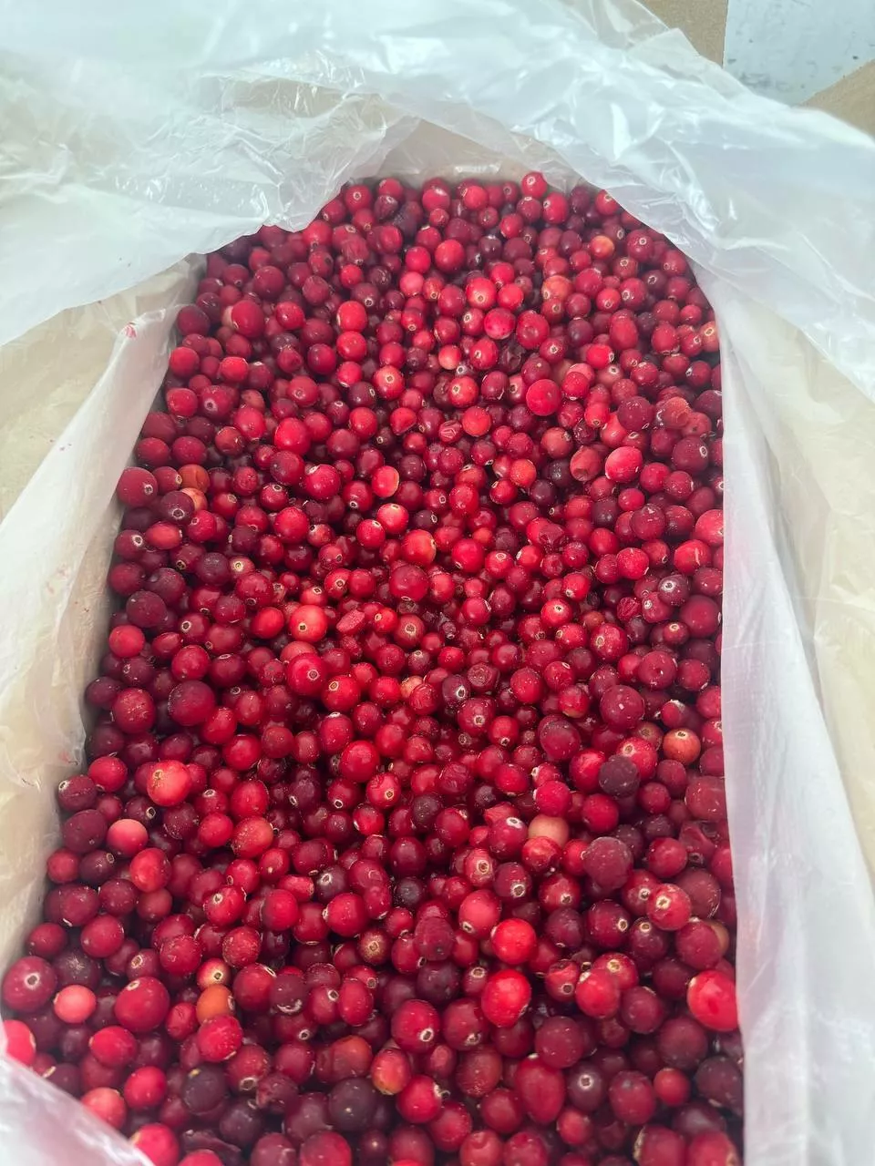 Фотография продукта Замороженная клюква 