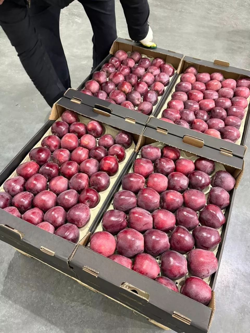 Фотография продукта Яблоко оптом