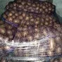 картофель свежий беларусь в Москве 8