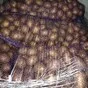 картофель свежий беларусь в Москве 5