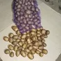 картофель свежий беларусь в Москве 4