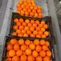  апельсины (египет) в Новороссийске 3