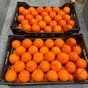  апельсины (египет) в Новороссийске