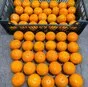  апельсины (египет) в Новороссийске 2