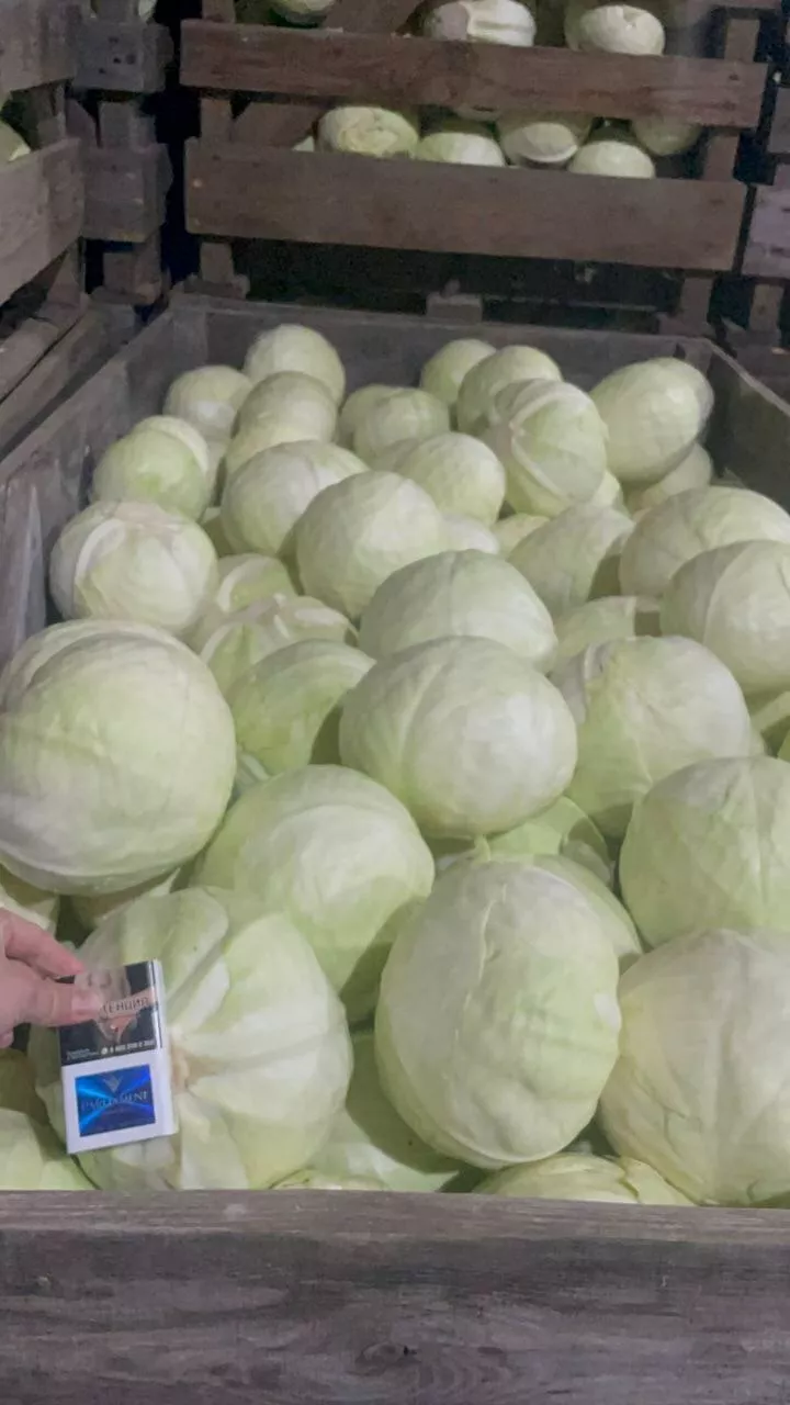 Фотография продукта Капуста белокач. много, возвраты с сетей