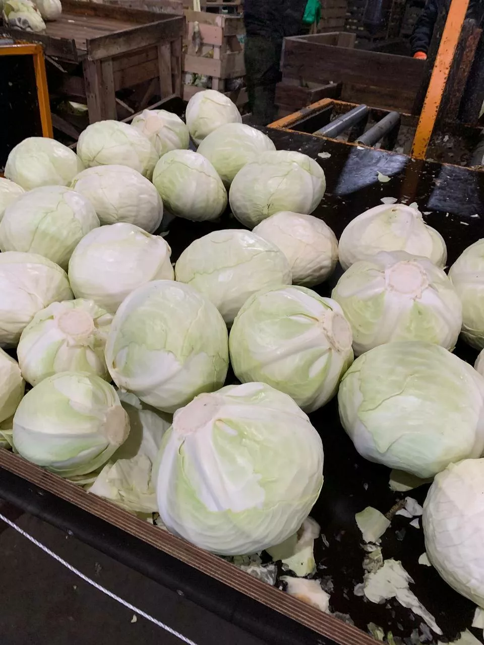 Фотография продукта Капусту белокачанную не брак москва