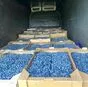 голубика  в Ростове-на-Дону и Ростовской области