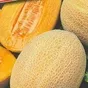 дыня мирон в Астрахани и Астраханской области