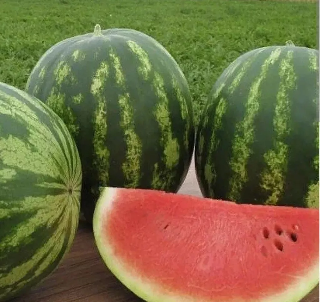 Фотография продукта Арбуз сармат