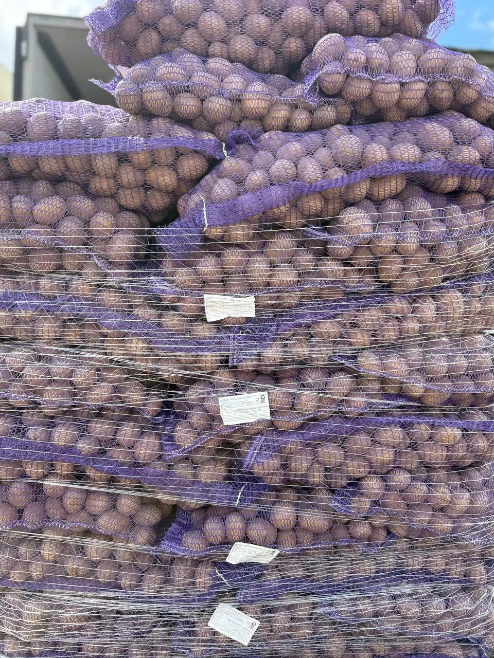 фотография продукта Картофель оптом от 1 тонны