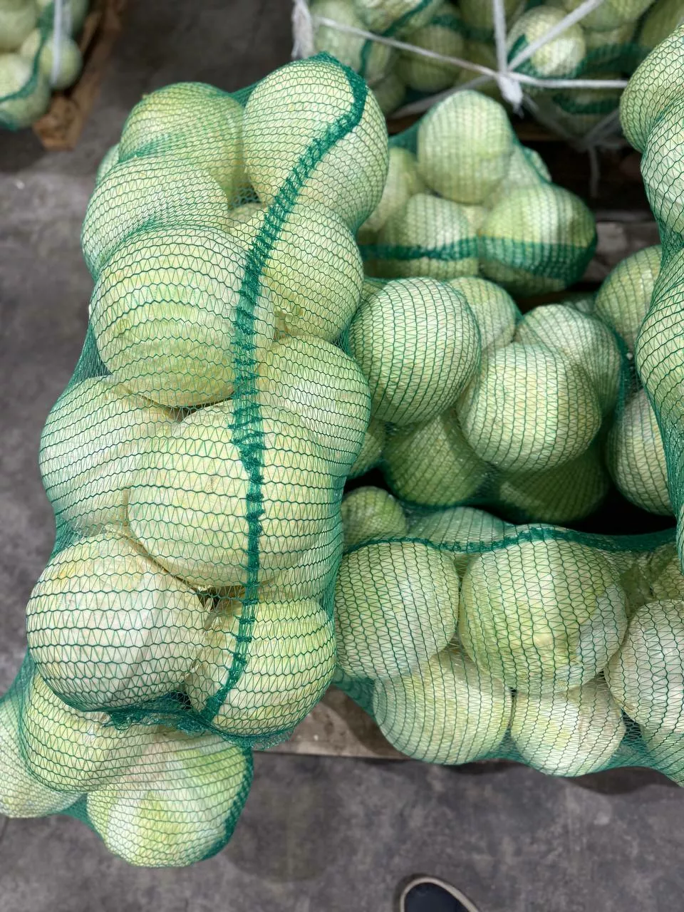 фотография продукта Капуста белокочанная оптом от 1 тонны