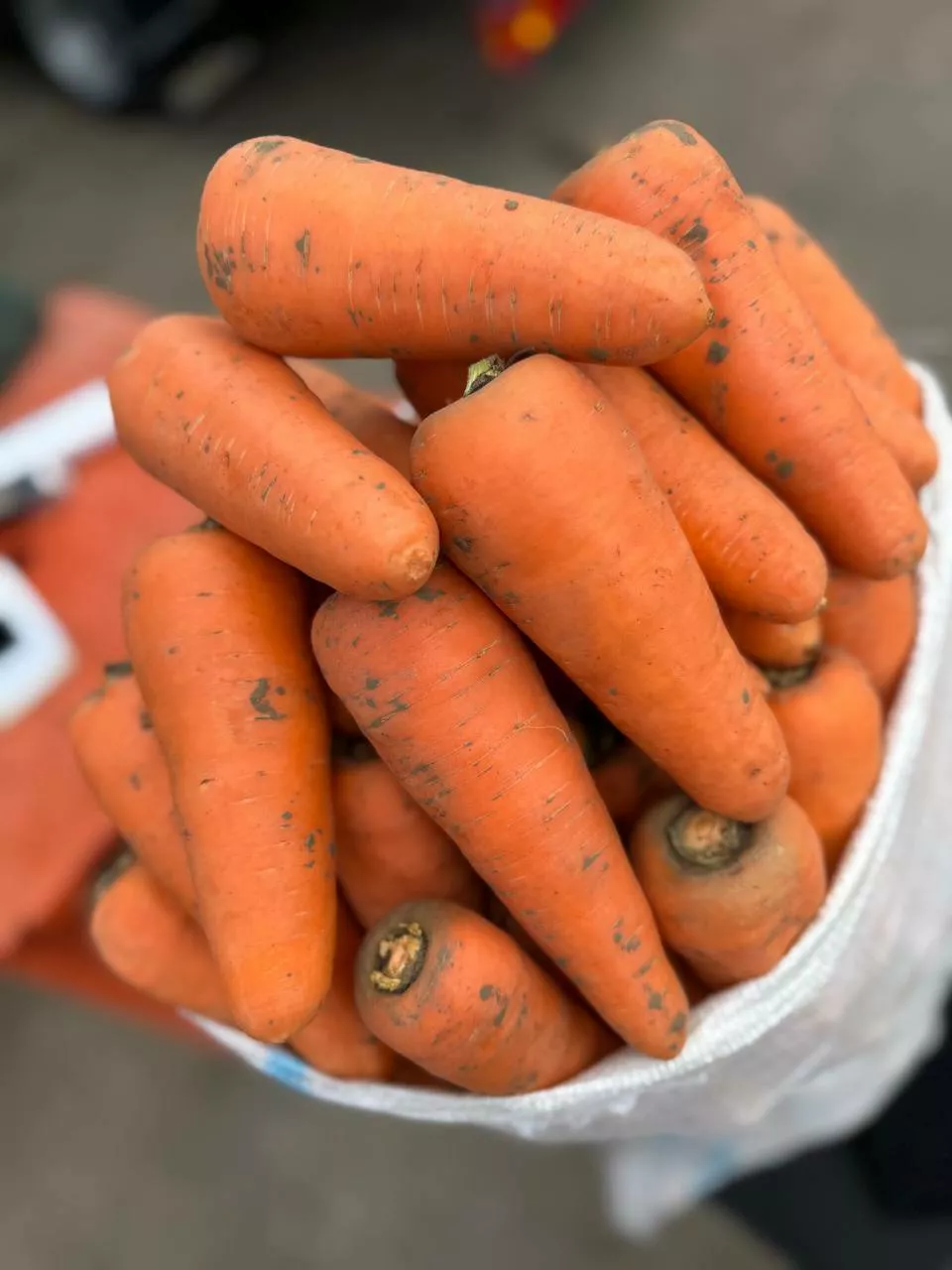 фотография продукта Морковь столовая оптом (тт-агро)